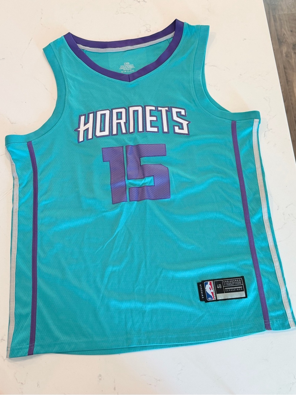 Charlotte Hornets NBA Swingman Jersey #15 Walker